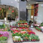 Es cedeix per jubilació Floristeria.